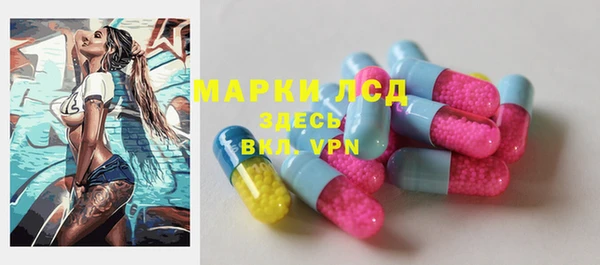 индика Нижневартовск
