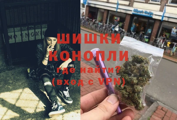 ПСИЛОЦИБИНОВЫЕ ГРИБЫ Кострома