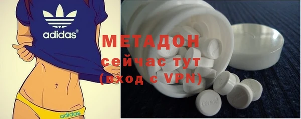 индика Мегион