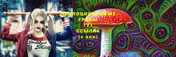 таблы Михайловск