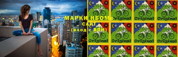 ПСИЛОЦИБИНОВЫЕ ГРИБЫ Кострома