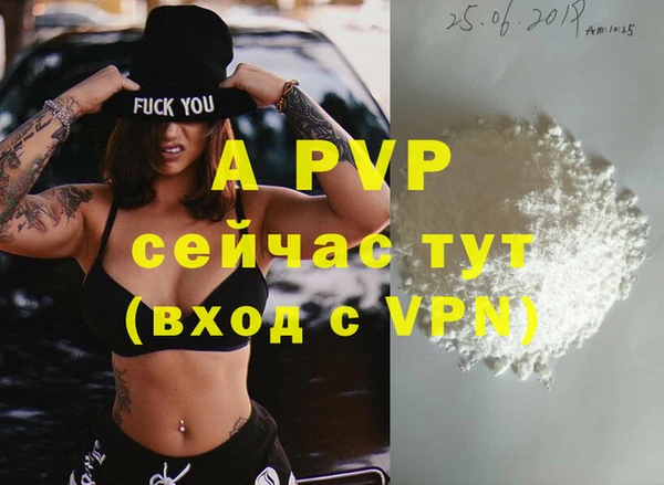 индика Мегион