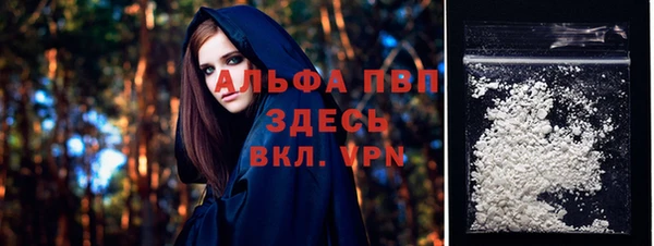 индика Мегион