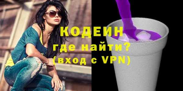 индика Мегион