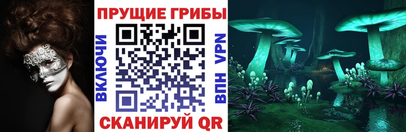 Купить  Лабытнанги  Галлюциногенные грибы GOLDEN TEACHER 